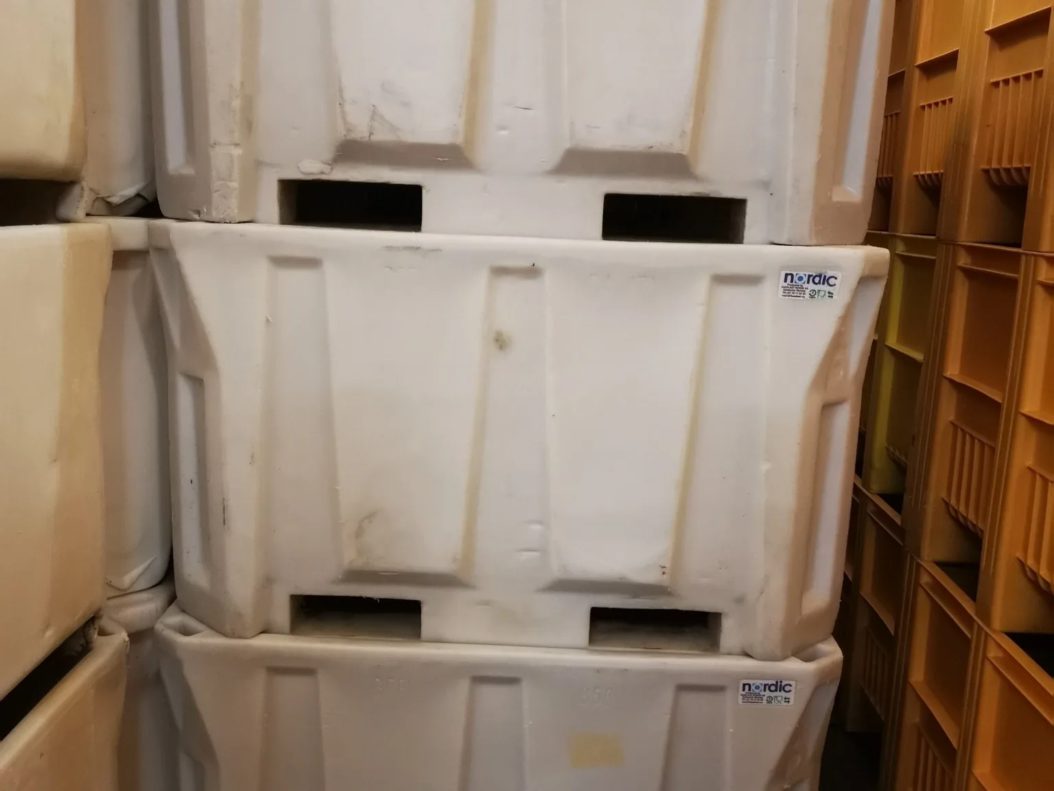 Feed storage tanks