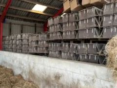 Nest boxes placed in front of mink cages